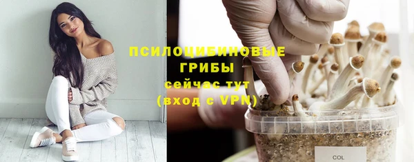кокаин премиум Богородск