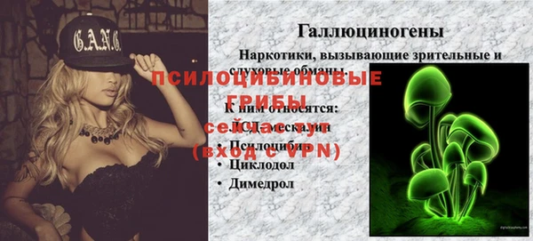 мдма Богородицк
