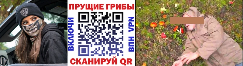 Псилоцибиновые грибы ЛСД  где найти наркотики  Видное 